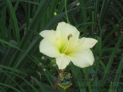 Ƭ 031_resize.jpg