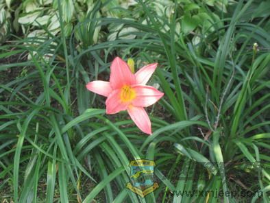 Ƭ 040_resize.jpg