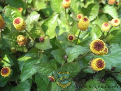 Ƭ 085_resize.jpg