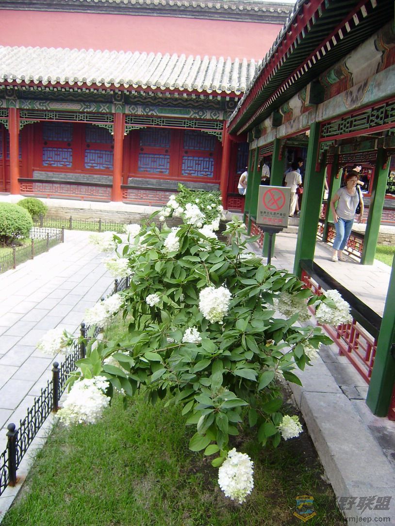 P8050063_resize.JPG