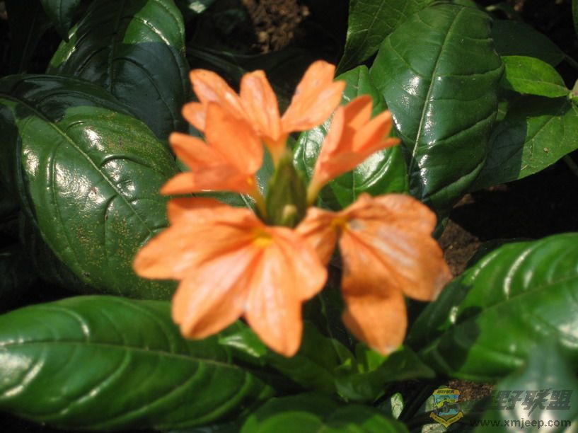 Ƭ 057_resize.jpg