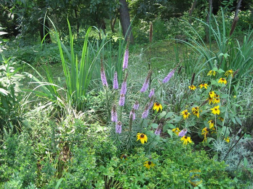 Ƭ 048_resize.jpg