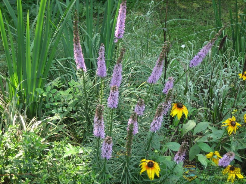 Ƭ 049_resize.jpg