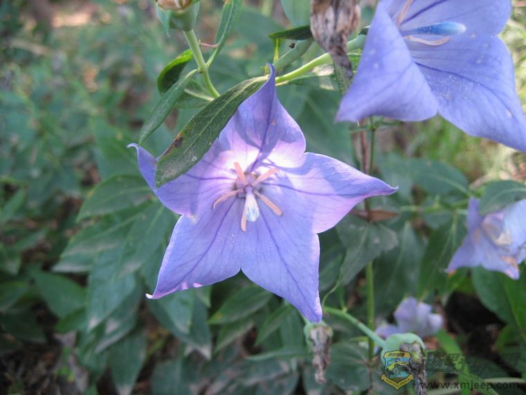 Ƭ 047_resize.jpg