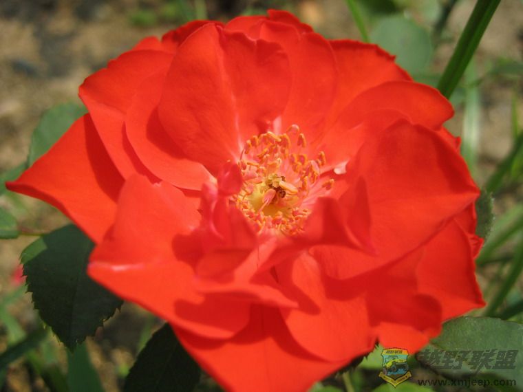 Ƭ 061_resize.jpg