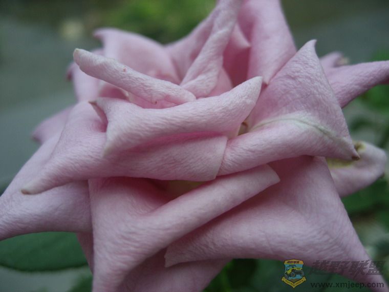 Ƭ 062_resize.jpg