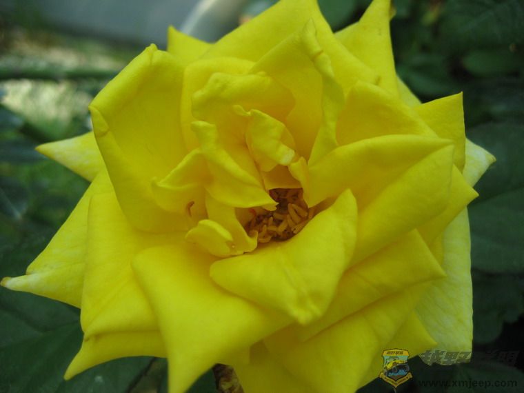 Ƭ 063_resize.jpg