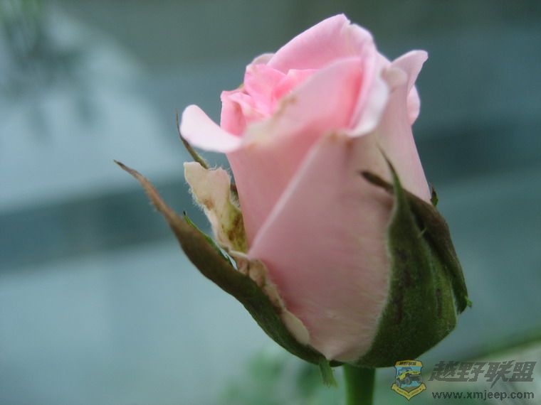 Ƭ 064_resize.jpg