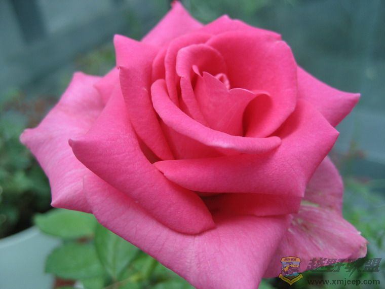 Ƭ 065_resize.jpg
