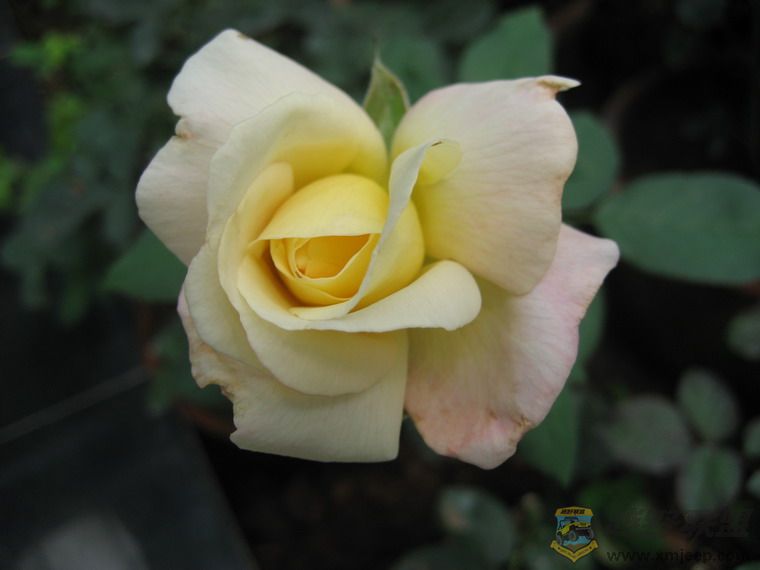 Ƭ 066_resize.jpg