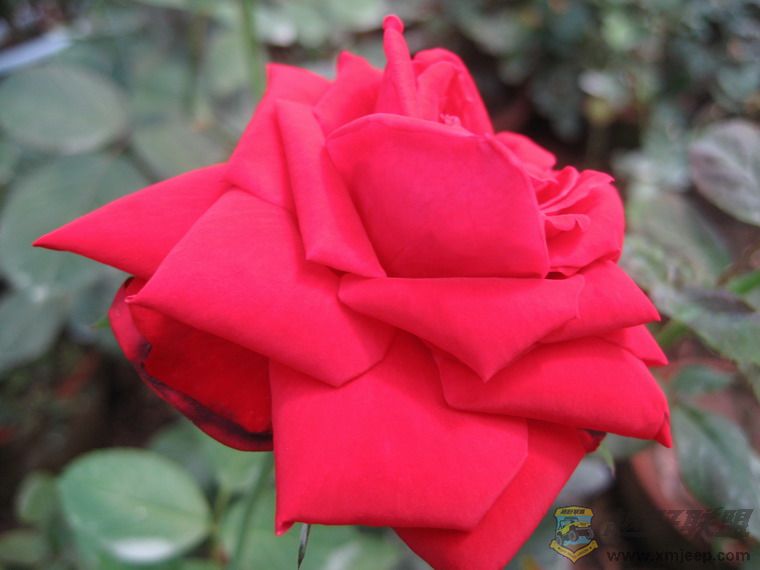 Ƭ 069_resize.jpg