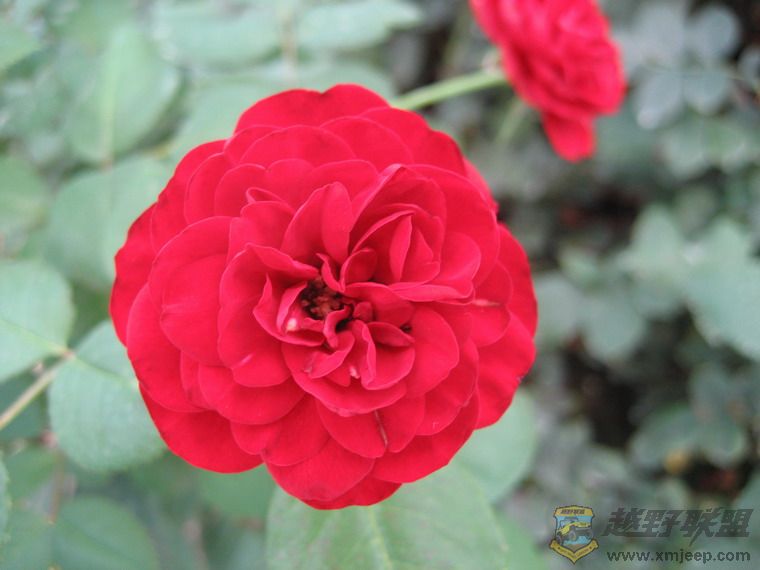 Ƭ 071_resize.jpg