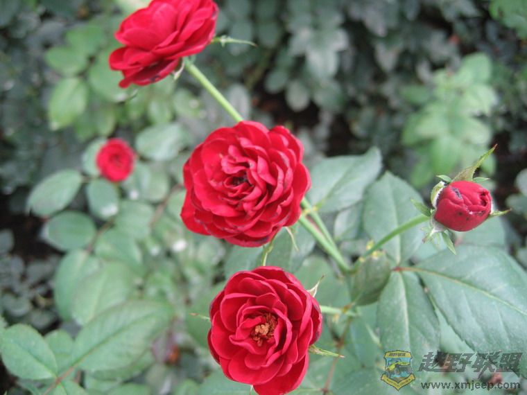 Ƭ 072_resize.jpg