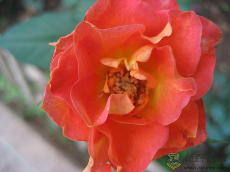 Ƭ 077_resize.jpg
