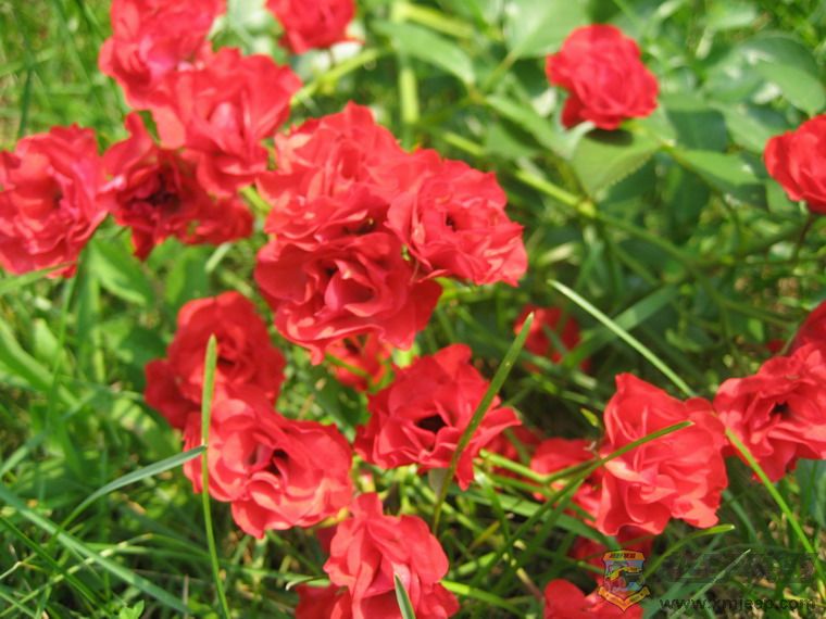 Ƭ 079_resize.jpg