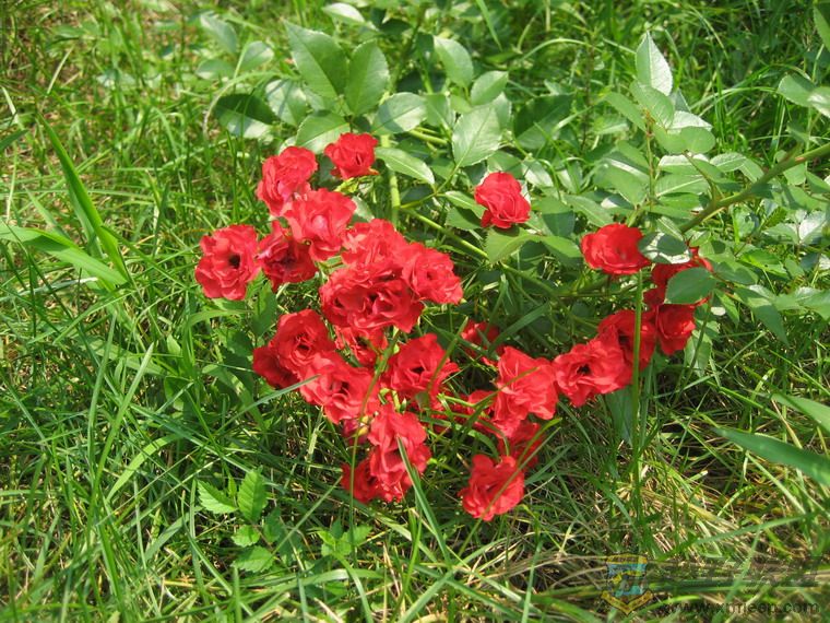 Ƭ 080_resize.jpg