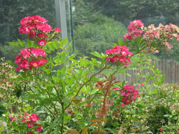 Ƭ 082_resize.jpg