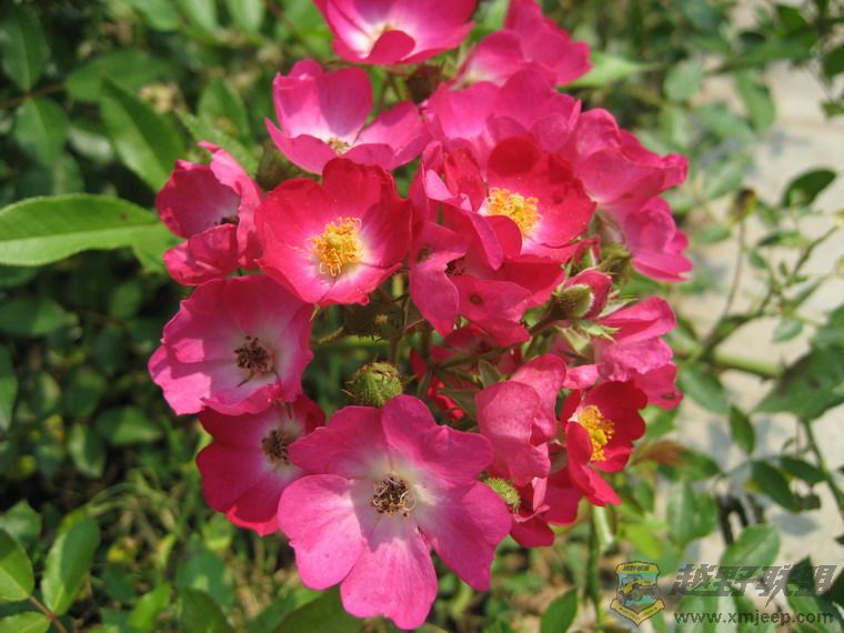 Ƭ 083_resize.jpg