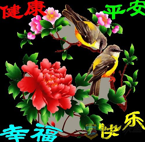 b_E91CA27AC0F90EF05BA2FD57021B109A.jpg