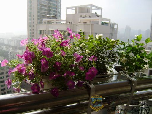 P8250017_С.JPG