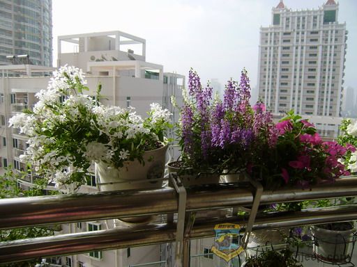 P8250014_С.JPG