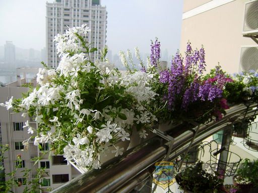 P8250021_С.JPG