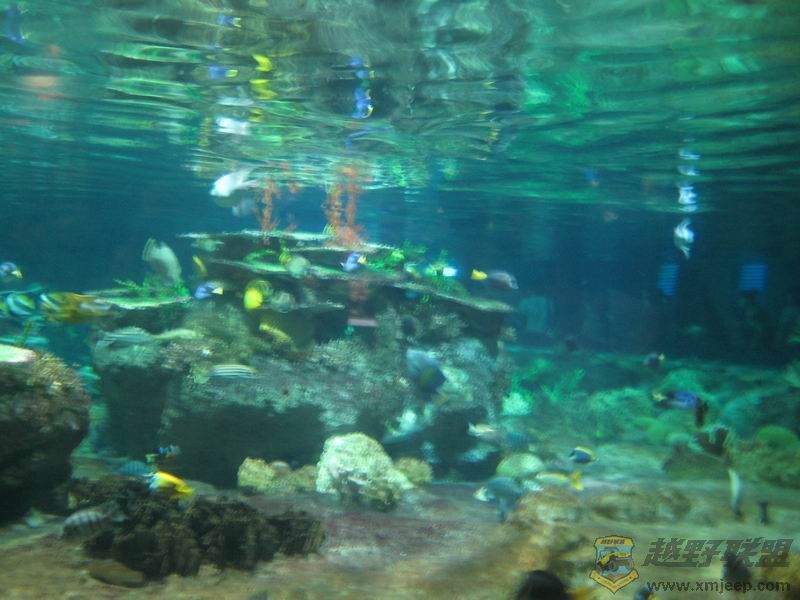 IMG_1471.JPG