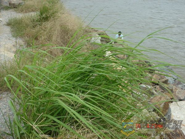DSC06459.jpg