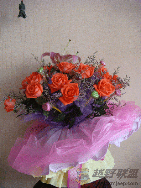 DSC00017.gif