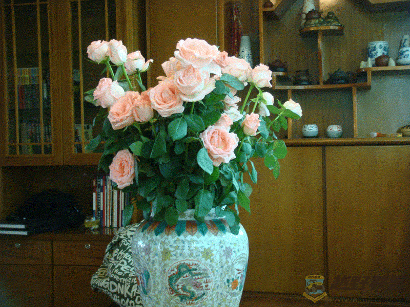 DSC00001.gif