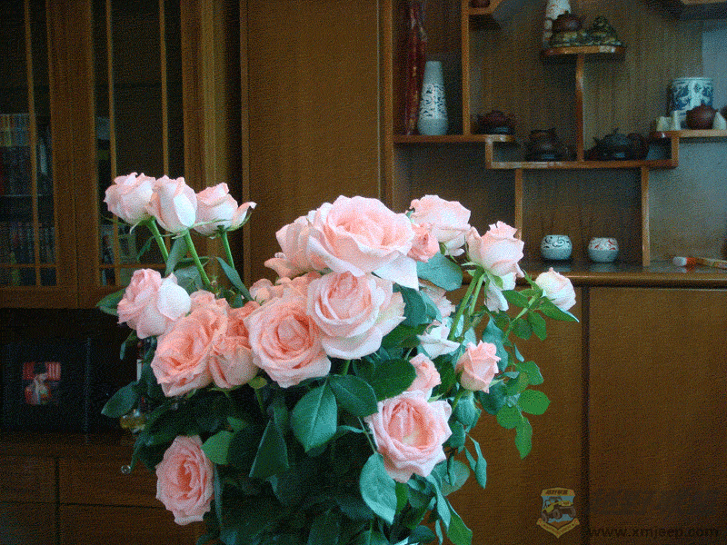 DSC00002.gif