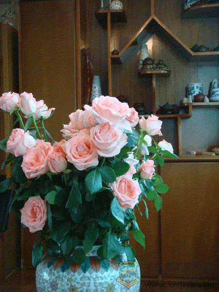 DSC00003.gif