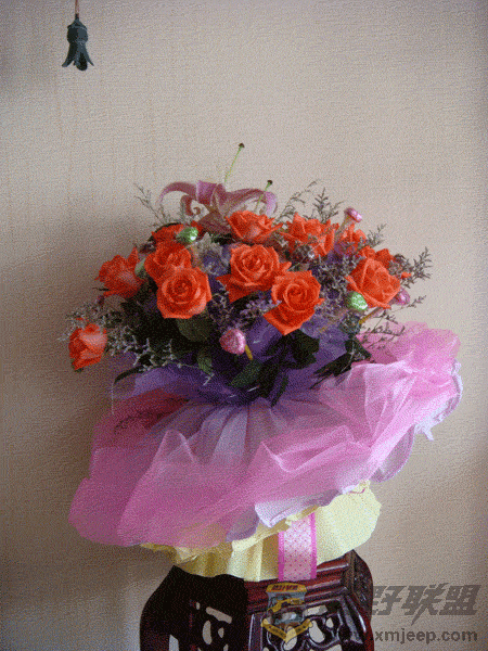 DSC00016.gif
