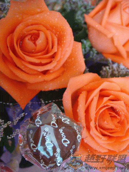 DSC00022.gif