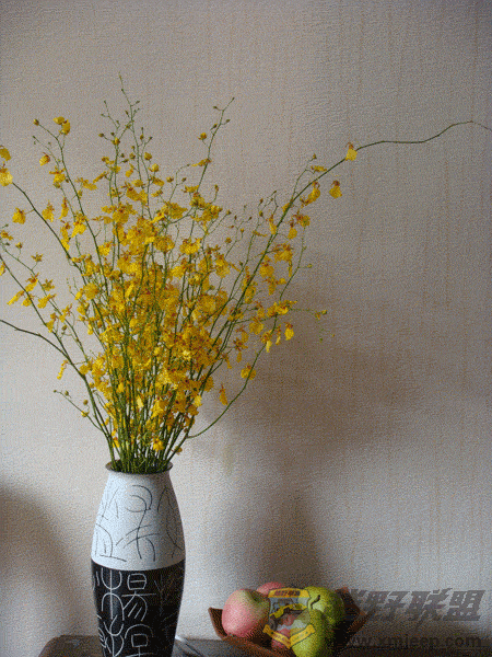 DSC00025.gif