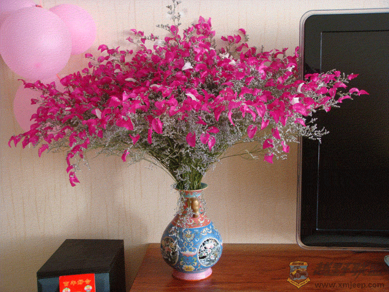 DSC00026.gif