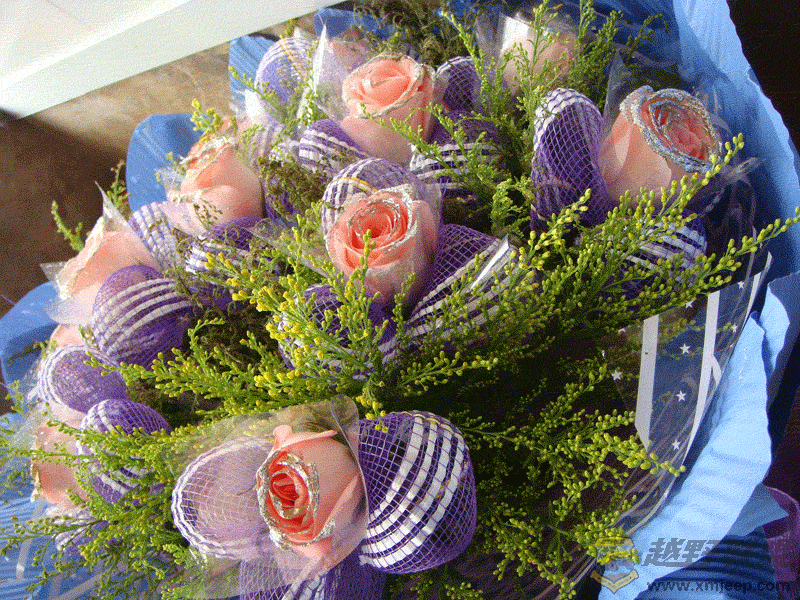 DSC00033.gif