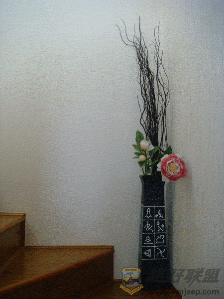 DSC00034.gif