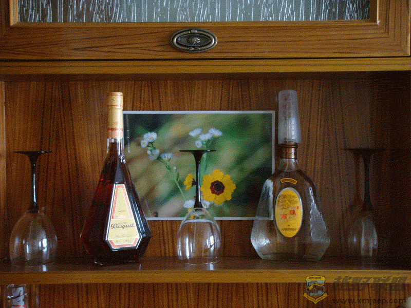 DSC00047.gif
