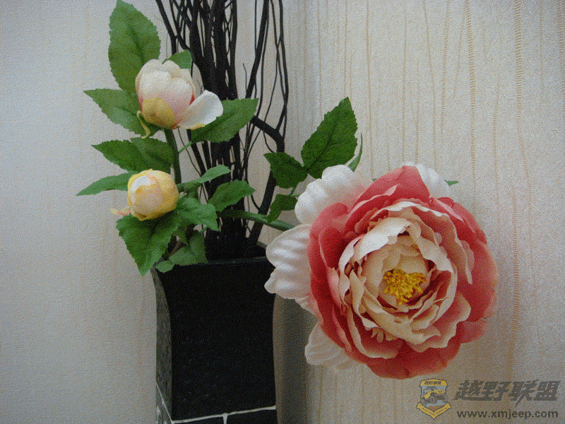 DSC00057.gif