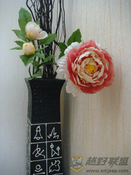 DSC00058.gif