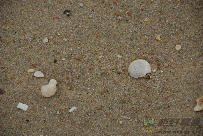 DSC_0130.jpg01.jpg