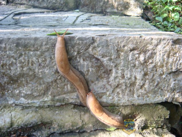 DSC02711.JPG