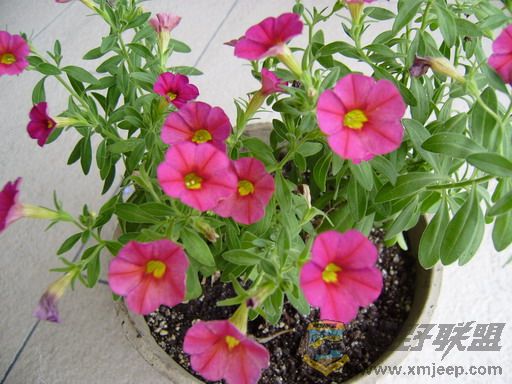 P9260003_resize.JPG