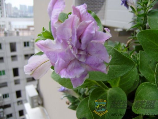 P9270005_resize.JPG