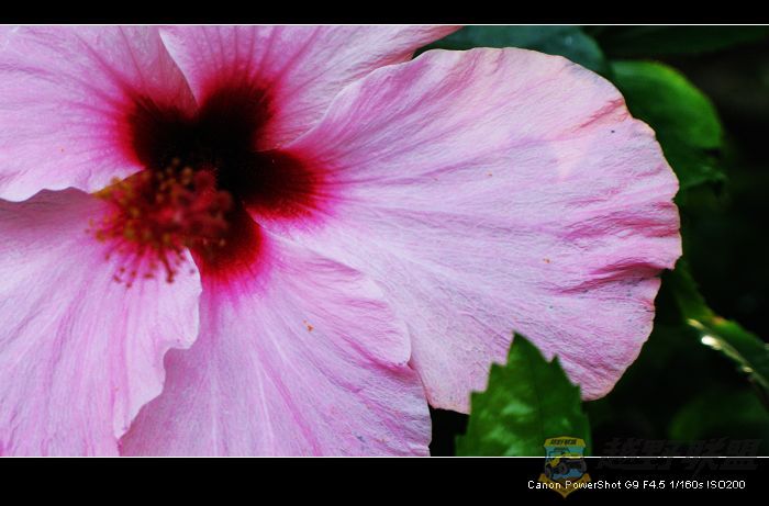 Ƭ 046.jpg