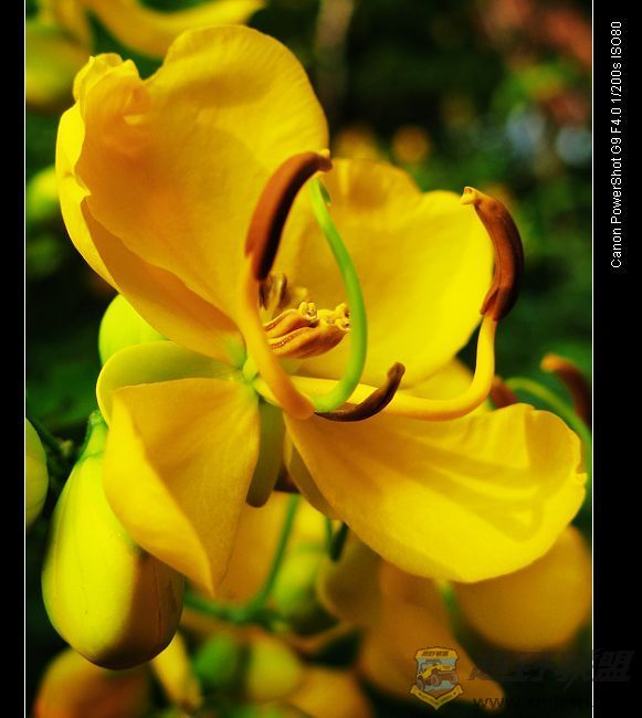 Ƭ 066.jpg