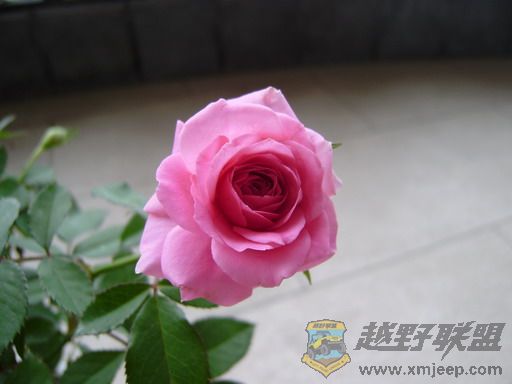 PB090048_resize.JPG