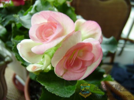 PB090038_resize.JPG