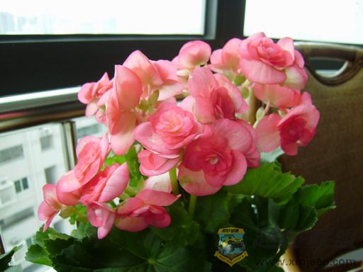 PB090043_resize.JPG